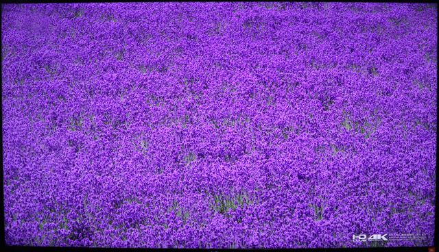 富可视infocus投影机使用教程,infocus富可视50英寸电视刷机