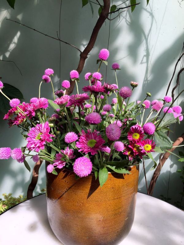 深圳有十几栋房子的90后女房东,90后女孩深圳租房