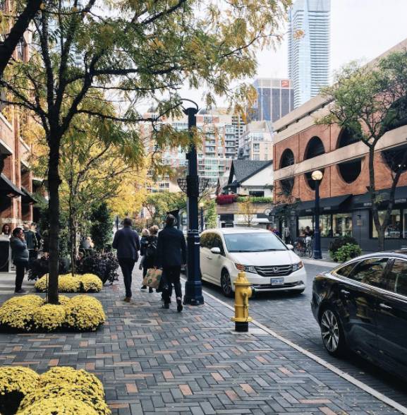 双十一规则太复杂？多伦多教你一个解决方案……