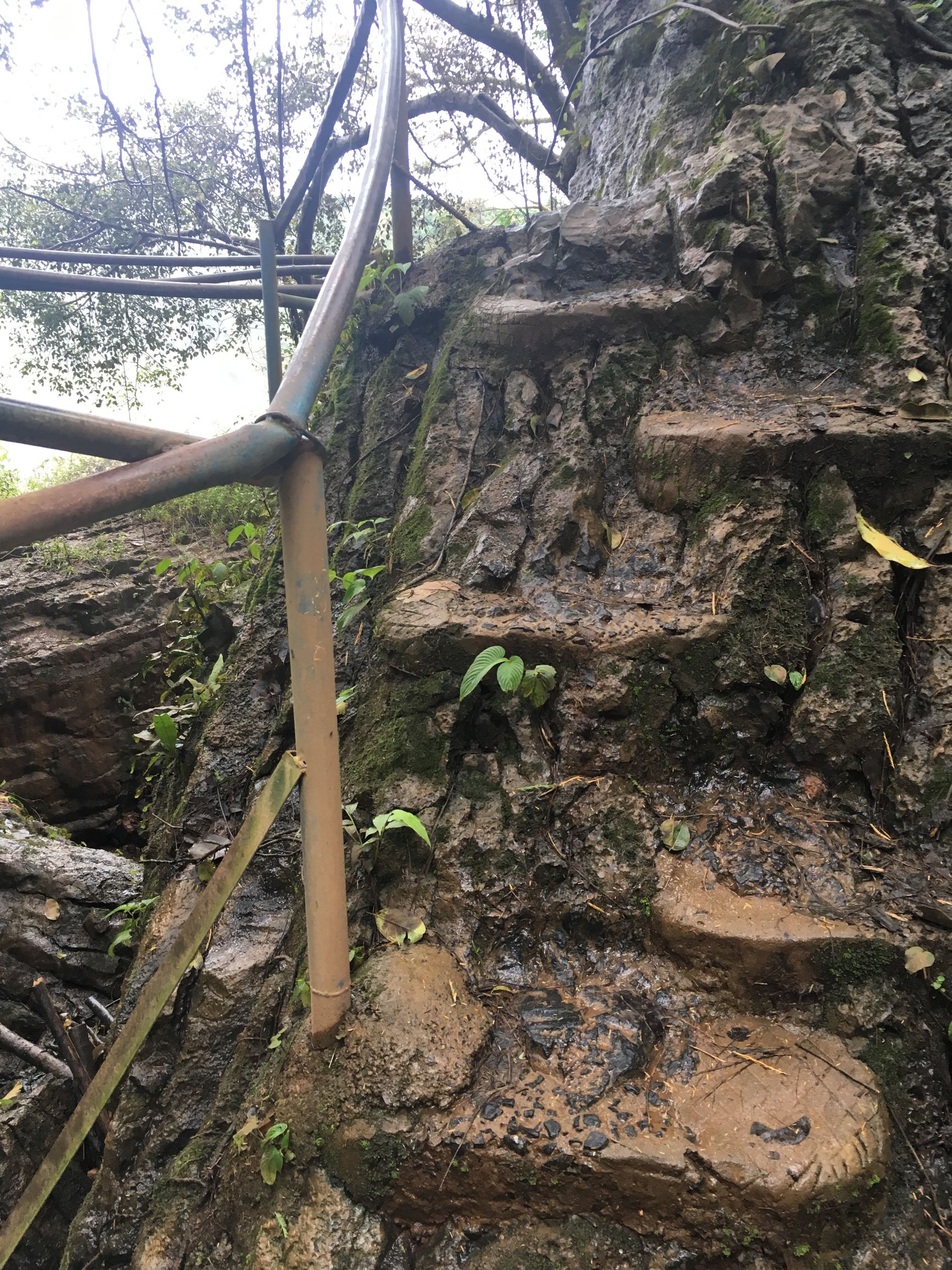 分享越南旅游攻略,越南大叻网红景点