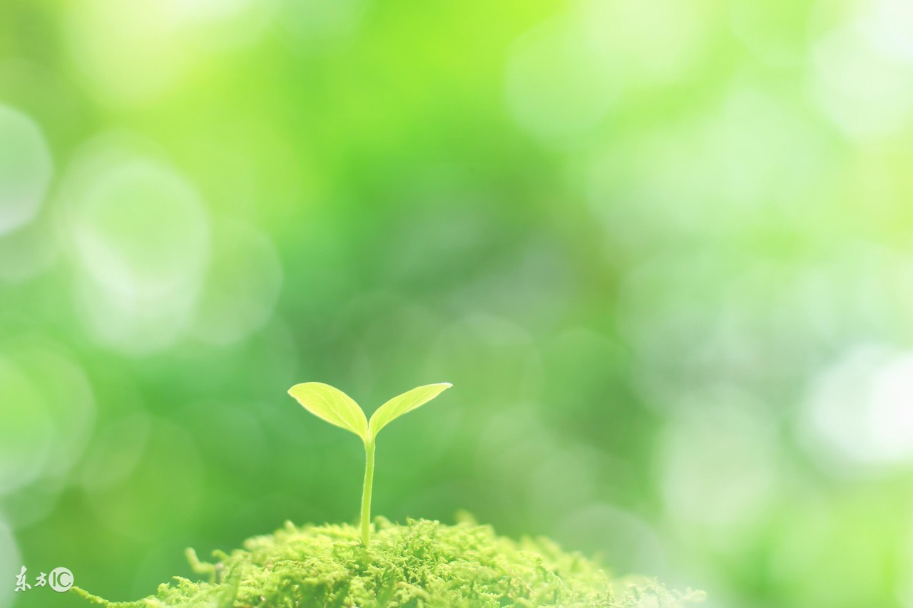 视频转换器手机支持格式,最简单方便的视频转换器