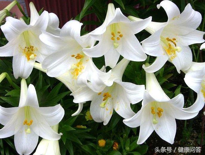 清理子宫垃圾需要人为处理吗？保养子宫需要注意哪些问题？