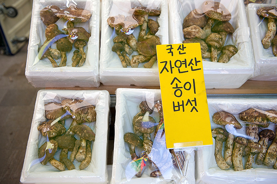 韩国女生街头小吃摆摊,广州韩国炸鸡摆地摊