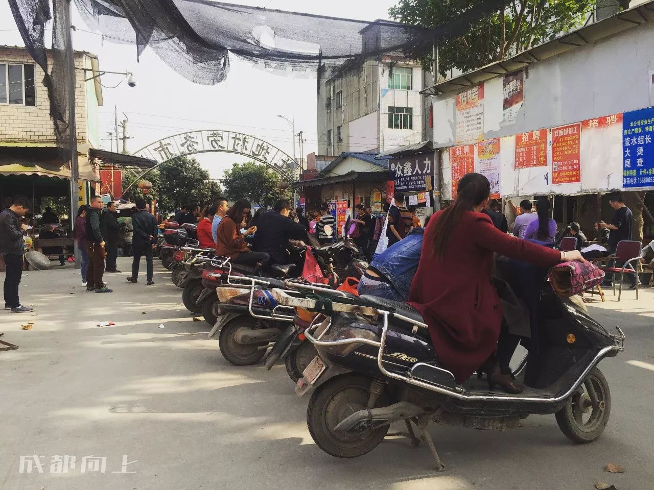 成都郫都区哪里好找工作,淘宝村月入百万