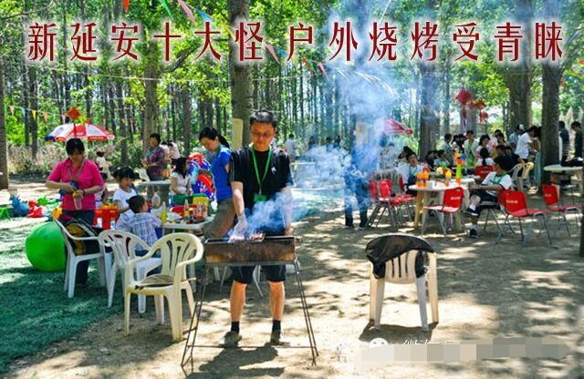 陕西八大怪发展历程,延安十大案件