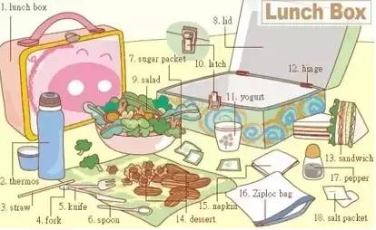 最常用英语100个单词,史上最全英语词汇图