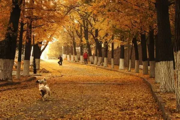 青岛市城事,岛城城事