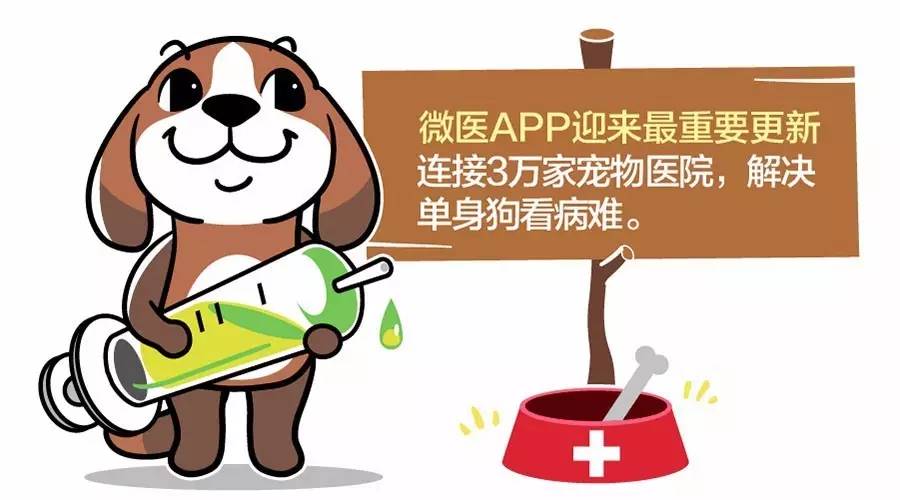 微医app迎来最重要更新：连接3万家宠物医院，解决单身狗看病难