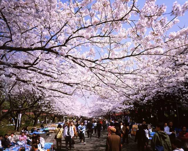 青岛市城事,岛城城事