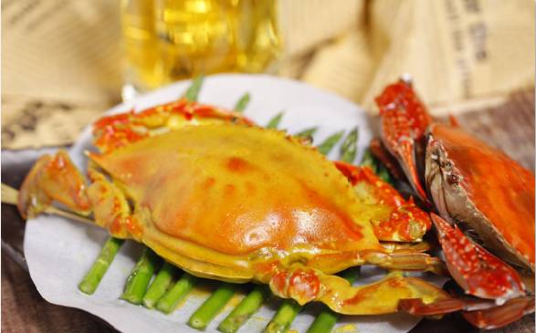 昌吉冒牌货菜店,昌吉市区冒牌货有几家