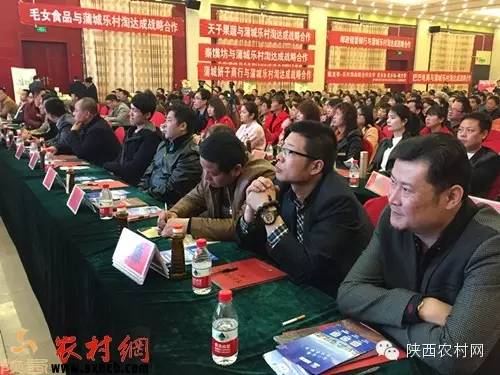 乐村淘互联网超市,乐村淘网络科技