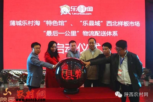 乐村淘互联网超市,乐村淘网络科技