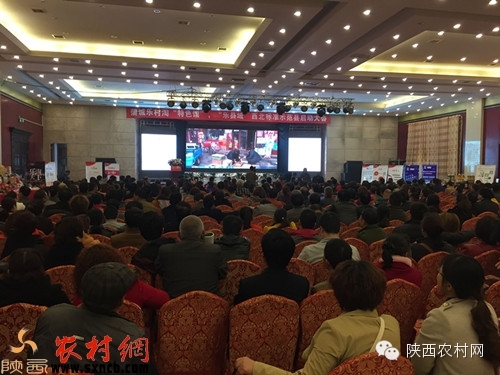 乐村淘互联网超市,乐村淘网络科技