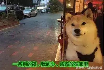 双十一脱单攻略视频大全,双十一怎样脱单