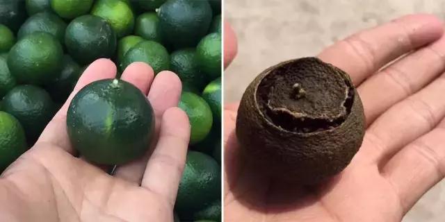 哪一种橘子皮是中药陈皮,一个橘子皮怎么会叫陈皮