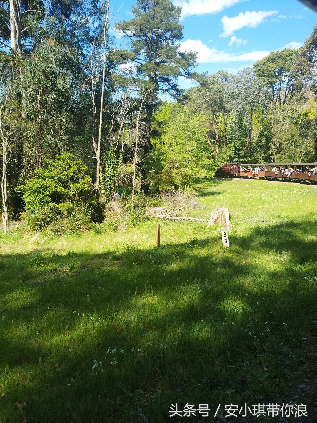 墨尔本四天三晚怎样玩,慢游全世界墨尔本