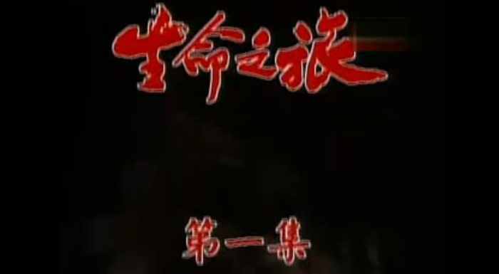 我们看过的电视剧,我们都看周星驰吗