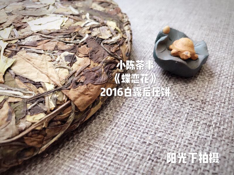 白茶到底怎么喝,白茶什么口感怎么品