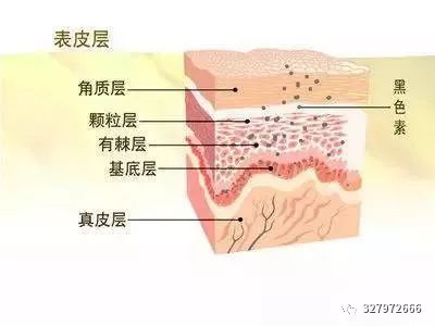 痘痘形成的内在原因和外在原因,痘痘形成的八大原因