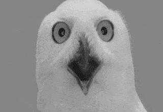 点外卖的你一定要看完,点外卖必须知道的知识