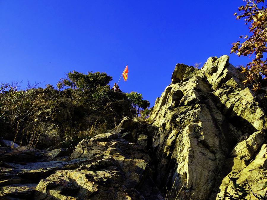 辽宁省沈阳市法库县孟家镇,辽宁省沈阳市法库县杀人事件