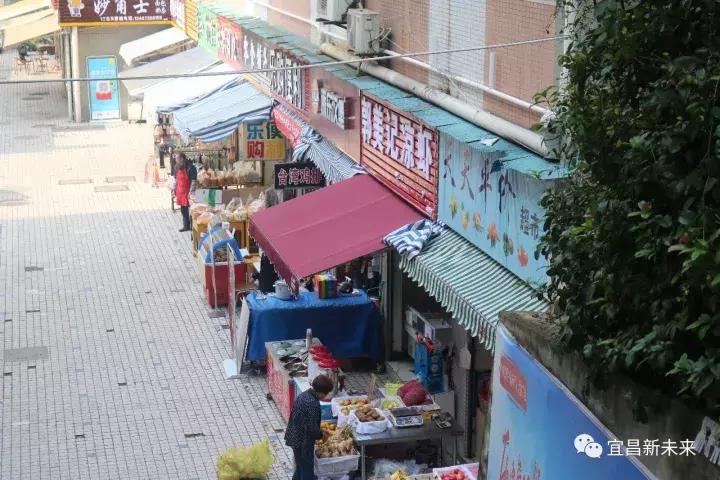 你眼中的三峡是怎么样的,三峡职院有什么专业