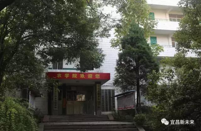 你眼中的三峡是怎么样的,三峡职院有什么专业