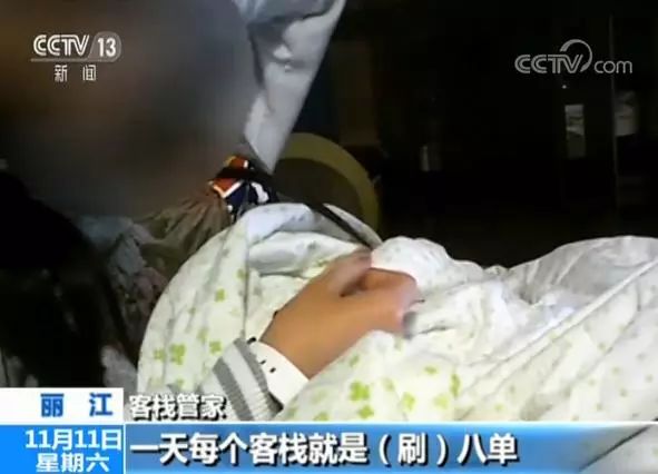 称“蚊子是宠物”，两丽江客栈各被罚20万