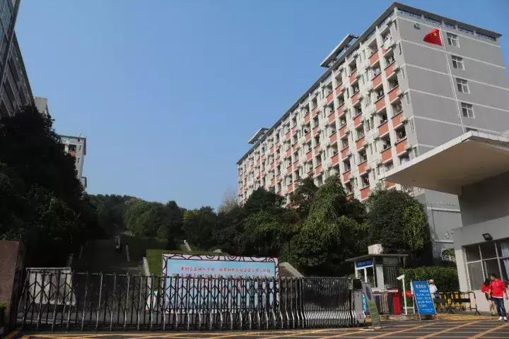 你眼中的三峡是怎么样的,三峡职院有什么专业