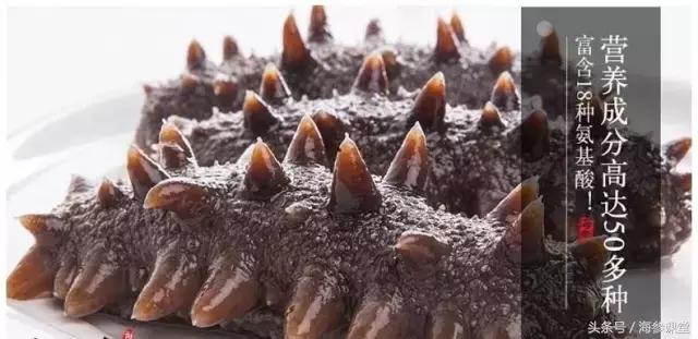 一般哪些人不能吃海参,有哪些情况不能吃海参