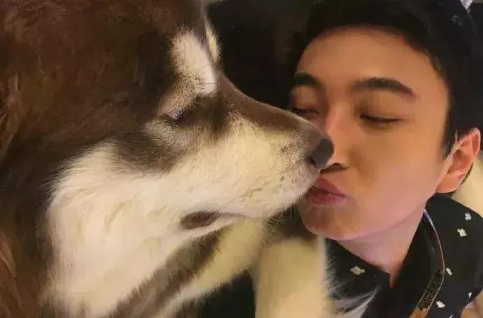 王思聪名媛女友,coco王思聪在一起过吗