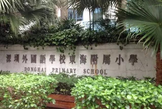 深圳的外国语小学和中英文学校,深圳外国语小学教学怎么样