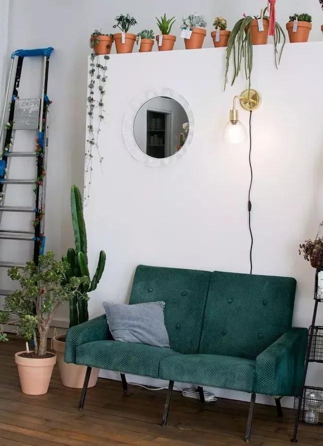 只卖绿植的店,一家开在老城区的网红绿植店铺