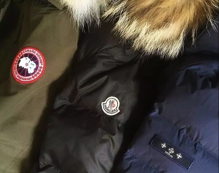 上万元的羽绒服是什么样的,上万元奢侈品羽绒服