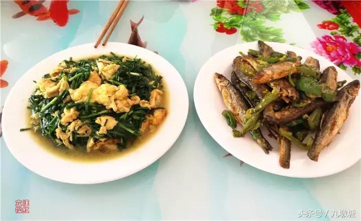 美醉了！了不起的金寨