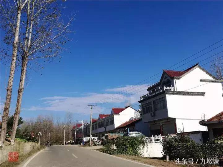 美醉了！了不起的金寨