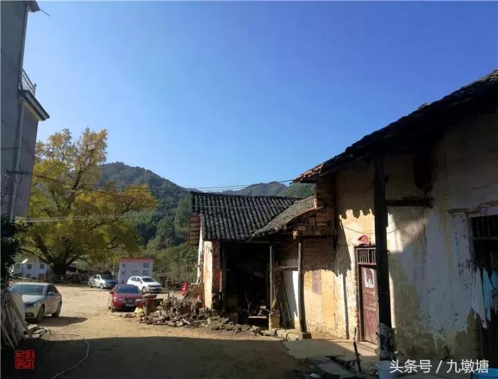 美醉了！了不起的金寨