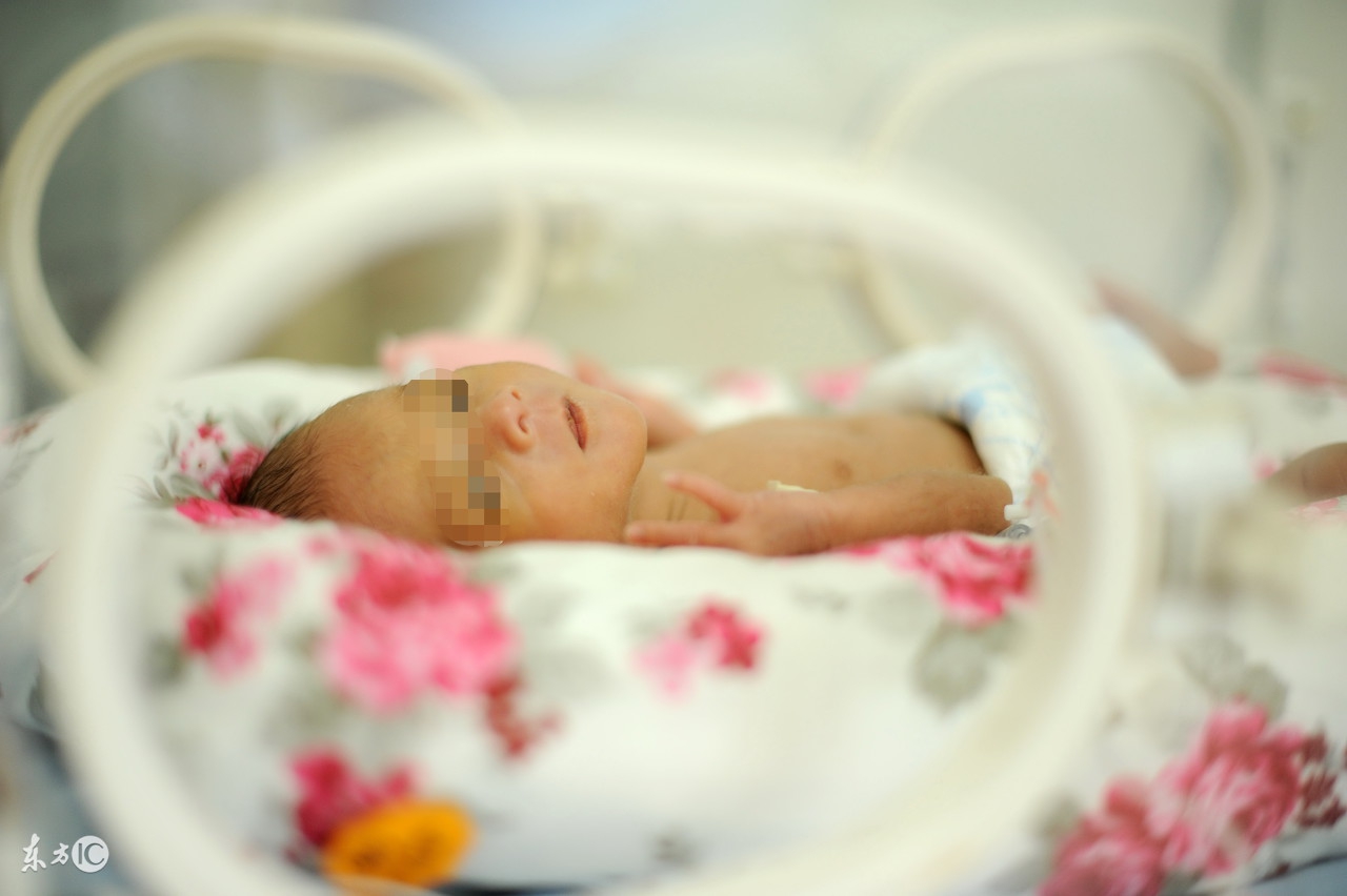 世界早产儿救治,世界早产儿日探望早产儿