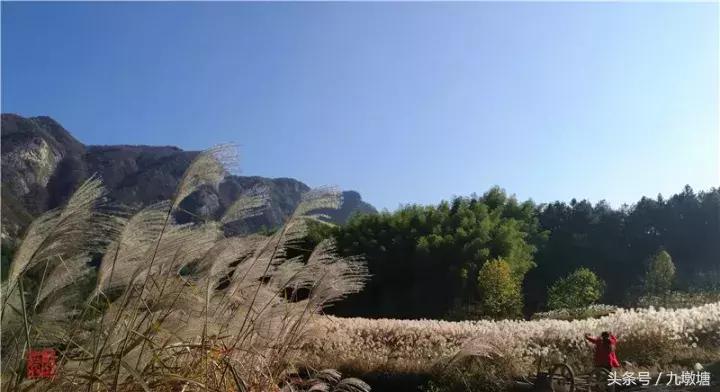 美醉了！了不起的金寨