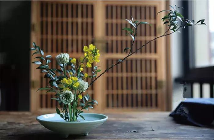 知耻知畏知止,知耻而后勇和知耻近乎勇