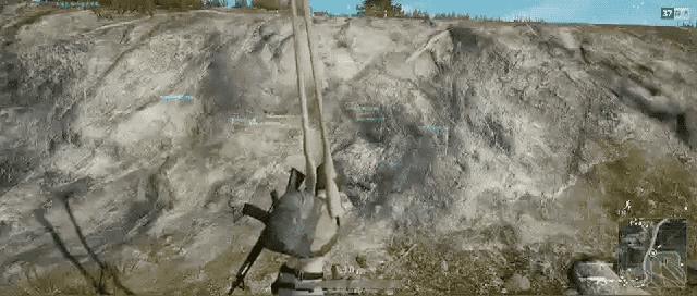 「不正确周报」第四十期：动物世界特辑：挂狗的求生之路