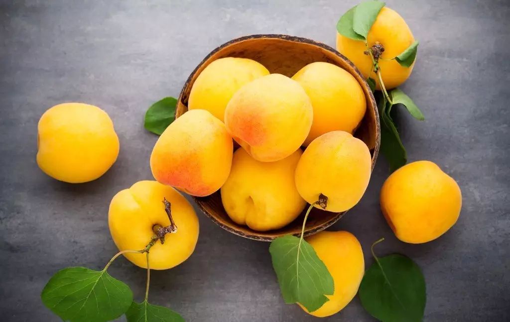 上海各个景点路线图,上海地铁沿线景点大全游上海必备