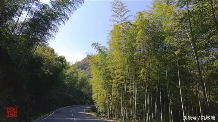 美醉了！了不起的金寨