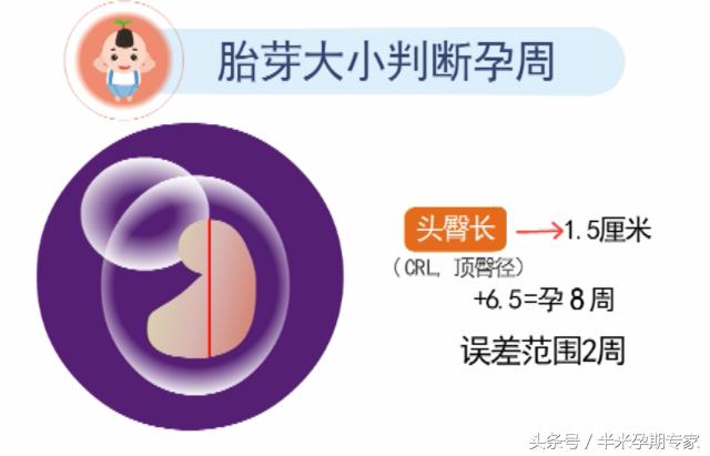 孕早期b超见胎心胎芽,孕早期如何从b超单上分辨婴儿