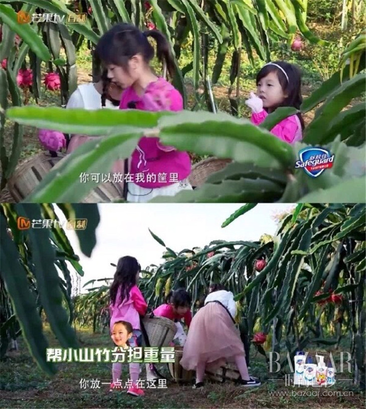 吴尊超级奶爸,宠妻狂魔吴尊