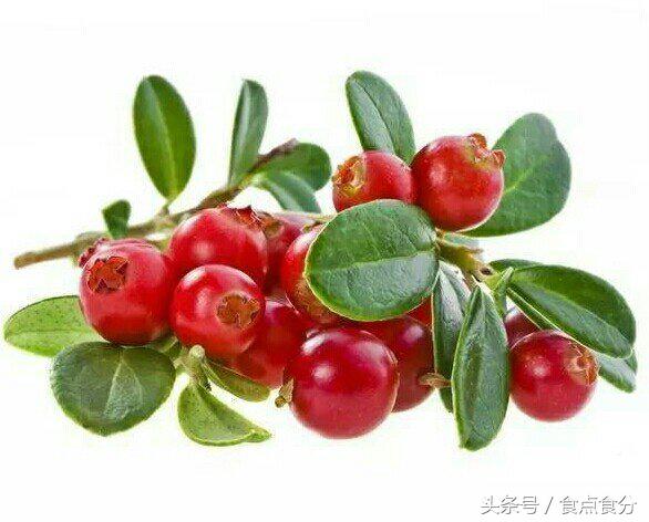 吃货都没吃过的10种奇特水果,28种非常好吃的水果