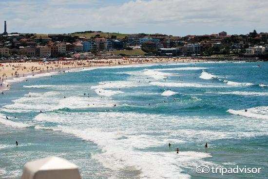 悉尼有什么著名的景点英文,悉尼哪些地方好玩
