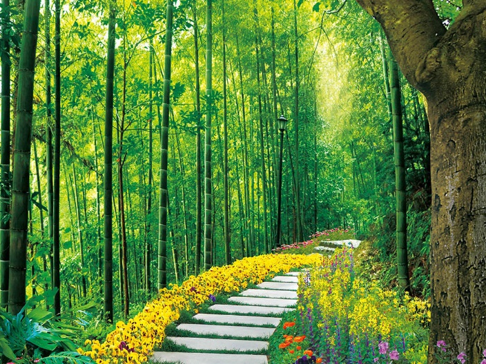 心灵美才是真的美,女性内在美才是真的美