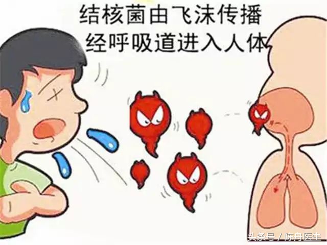 一文读懂中医,一文读懂房颤