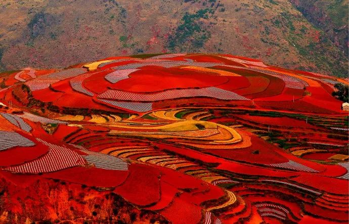 墨脱有多神秘,墨脱一条真正的天路